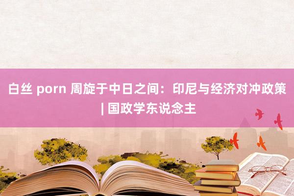 白丝 porn 周旋于中日之间：印尼与经济对冲政策 | 国政学东说念主