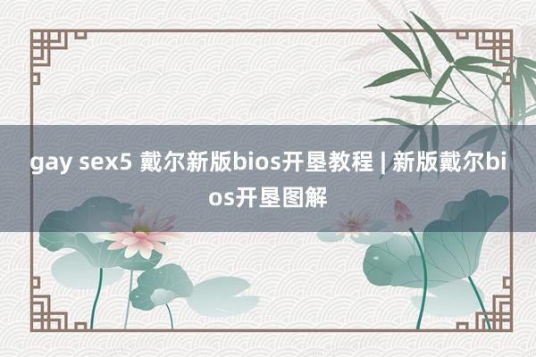 gay sex5 戴尔新版bios开垦教程 | 新版戴尔bios开垦图解